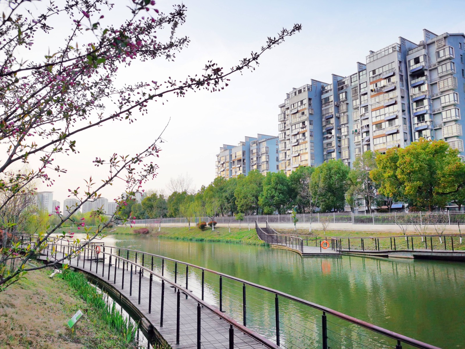 1756436548470916.jpg 1756436548470916.jpg