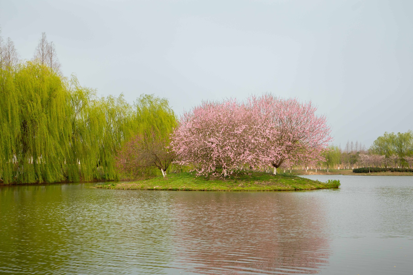 1756436588291137.jpg 1756436588291137.jpg