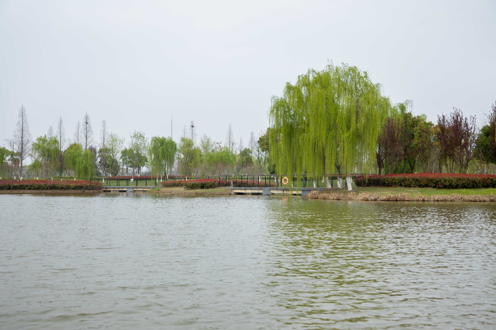 1756436588524017.jpg 1756436588524017.jpg